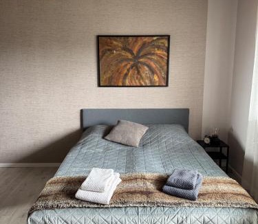 Waechtersbach Apartment | Idas stuga