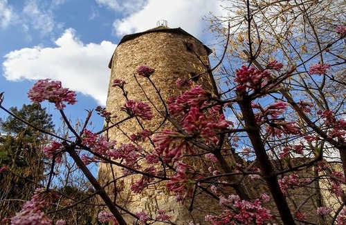 Weinheim Apartment | Idyllic and centrally located apartment in Weinheim, near the castle park and market square