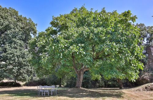 Pluvigner House | Idyllic Breton Countryside 5-Bed Farmhouse