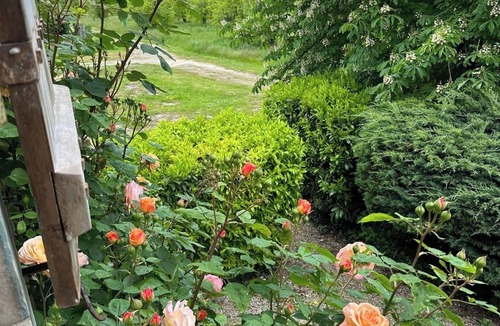 Cancon House | Idyllic converted gite barn amongst the orchards in sunflower country, SW France