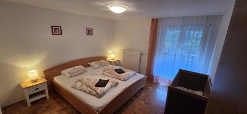 Bohinjska Bela House | Iglica Apartments - First Floor