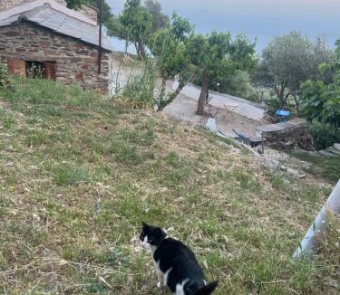 Ikaria House | Ikarian traditional house