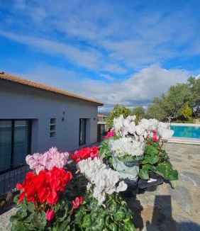 Enas House | Il 10 Settembre B&B