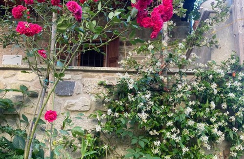 Toano Bed & Breakfast | Il Bagatto B&B