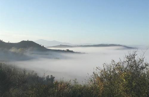 Torre A Castello Apartment | Il Borghetto Studio apartment in Crete Senesi