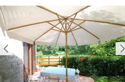 Colle di Val d'Elsa Apartment | Il Boschetto