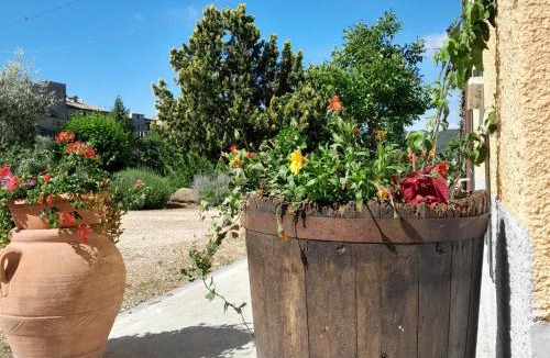 Cannara Apartment | Il Casale di Fiore