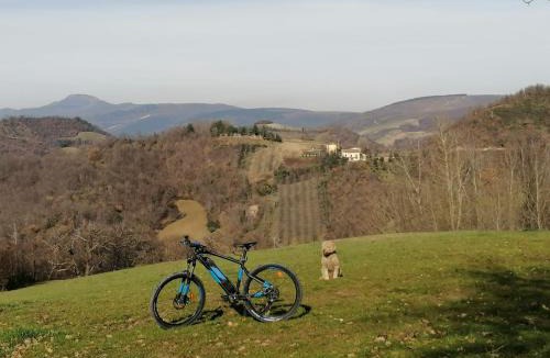 Camerino Bed & Breakfast | Il Castagneto