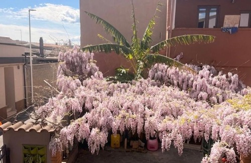 Assemini Apartment | Il Cortiletto