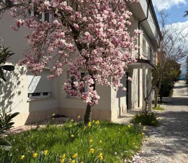 Isernia House | Il giardino di Silvia