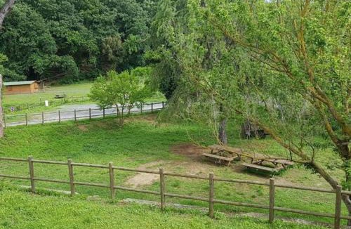 Cecina Apartment | Il Giardino