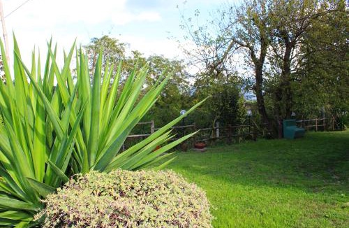 Teano Bed & Breakfast | Il Moro Bianco