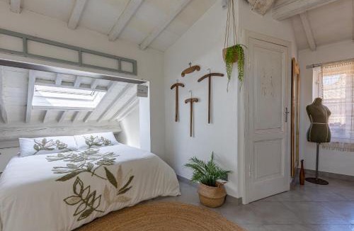 Buonconvento Apartment | Il Nido