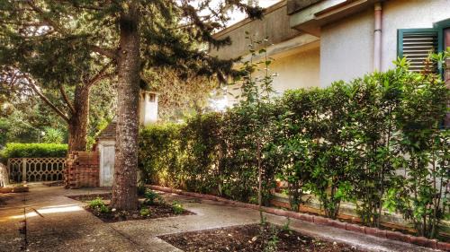 Lamie di Olimpia Villa | Il Posticello d'Itria - Villa in Collina a Laureto