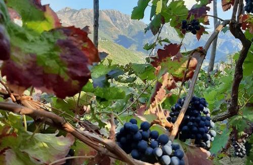Tramonti House | Il Raduno