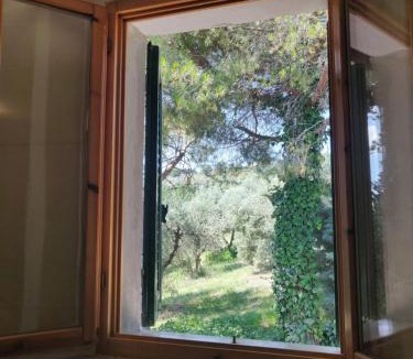 Chianni Apartment | Il Rusticano