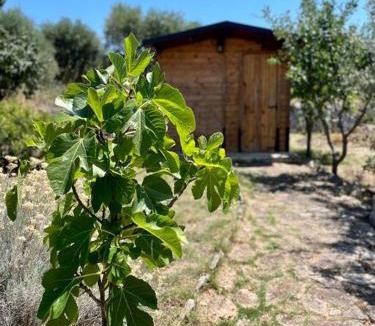 Impalata House | Il trullo di Rosa