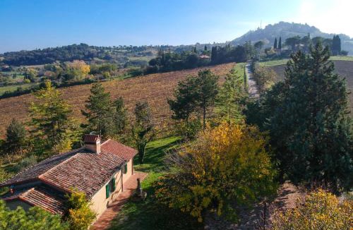 Bertinoro House | Il Vigneto Cottage