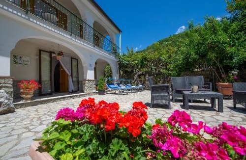 Tramonti Villa | Il Vigneto