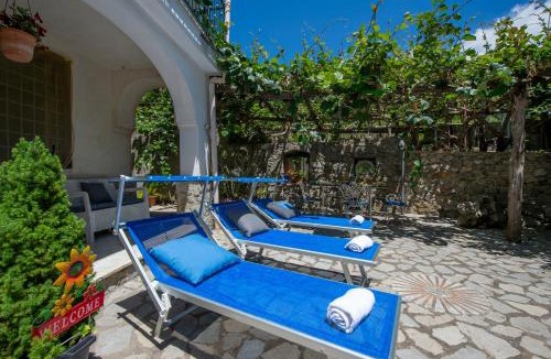 Tramonti Villa | Il Vigneto