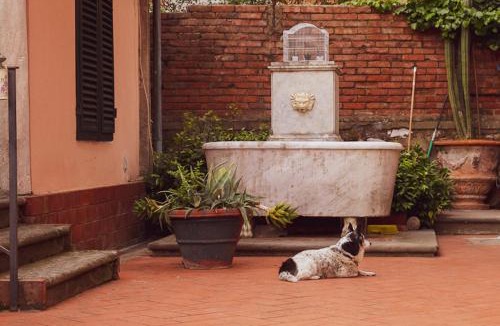 Lucca Historical Center Bed & Breakfast | Il Villino