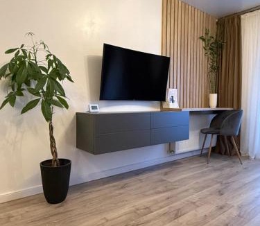 Ramnicu Valcea Apartment | Illi Home
