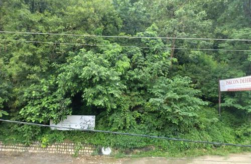 Dehradun House | IMBUE Rooms