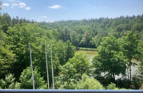 Ziebach Apartment | Immensee II Apartment with lake view and located at the forest edge