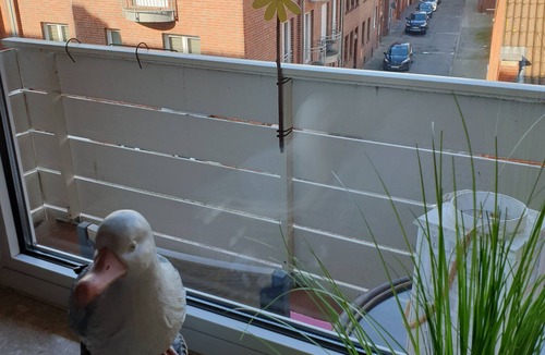 Emden Apartment | In the heart of Emden city apartment