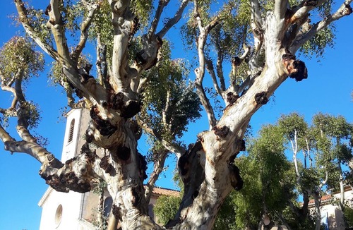 Porquerolles Apartment | In the heart of the village, luxury studio 17m2, flowered terrace 9 m2, air conditioning