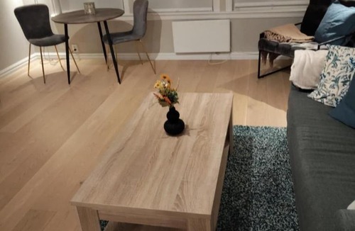 Tonsberg Apartment | In the middle of the city, with garden and parking!