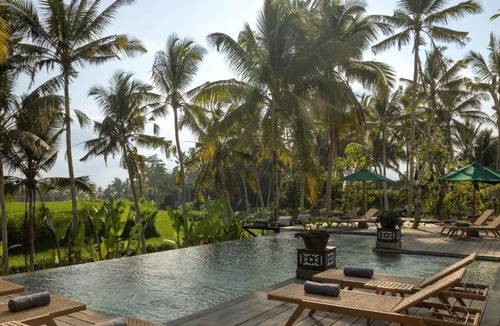 Payangan Hotel | Inara Alas Harum