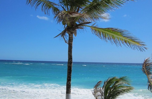 Silver Sands House | Inchcape Seaside Villas 1 bedroom De Luxe Apartment A