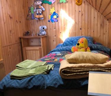 Reci Ski Chalet | Inchirieri cabana- “Chalet Rustique”