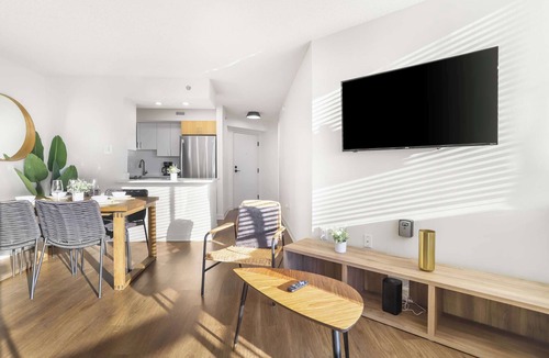Pentagon City Apartment | Incredible Apartment with Rooftop in Pentagon City