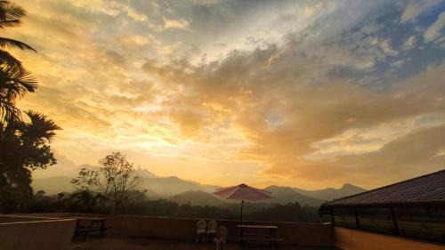 Vythiri Resort | Indeevara Luxury Resort and Spa, Wayanad