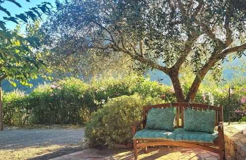 Bouvet Island House | Independent studio in a quiet olive grove
