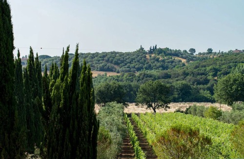 Suvereto House | Individual accommodations near the sea, nice for bathing and biking holidays