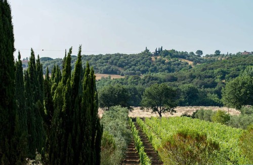 Suvereto House | Individual accommodations near the sea, nice for bathing and biking holidays