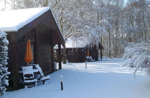 Willesborough House | Indoor Pool. Beautiful 2 bedroom lodge 4 people in 5 acres of beautiful Woodland