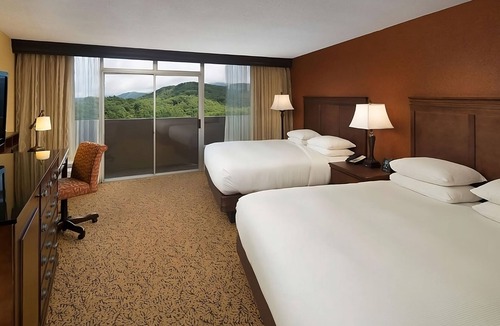 Gatlinburg Hotel | Indoor Swimming Pool, Pets Allowed! Gatlinburg's Peaceful Haven!