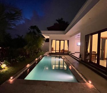 Pejeng Kawan Villa | Infinity Ubud Villas