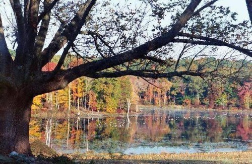 Pomfret Bed & Breakfast | Inn at Fox Hill Farm