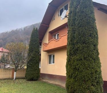 Vidra House | Insieme