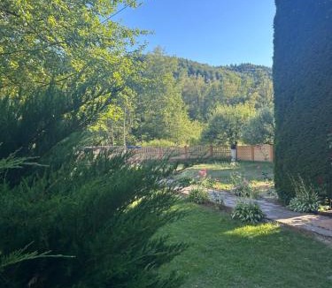 Vidra House | Insieme
