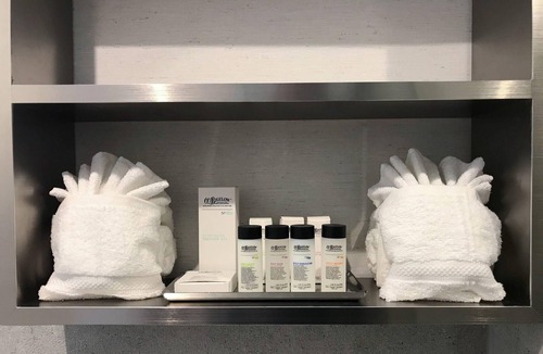 Brooklyn Hotel | Insignia Hotel Brooklyn, an Ascend Collection Hotel
