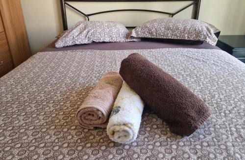 Mesolongi Apartment | Inspectora room