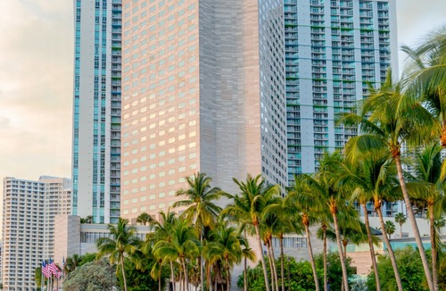 Downtown Miami Hotel | InterContinental Miami, an Ihg Hotel