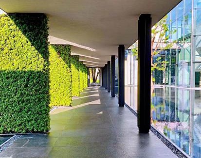 Yantian Resort | Intercontinental Shenzhen Dameisha Resort by IHG