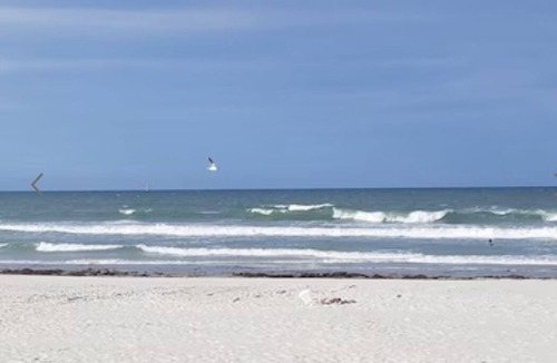 Totem Park Apartment | Intercostal paradise 🐬 🏖️ Romantic getaway🏝️
